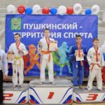 традиционный открытый турнир городского округа Пушкинский, посвящённый Дню Победы в Великой Отечественной войне.